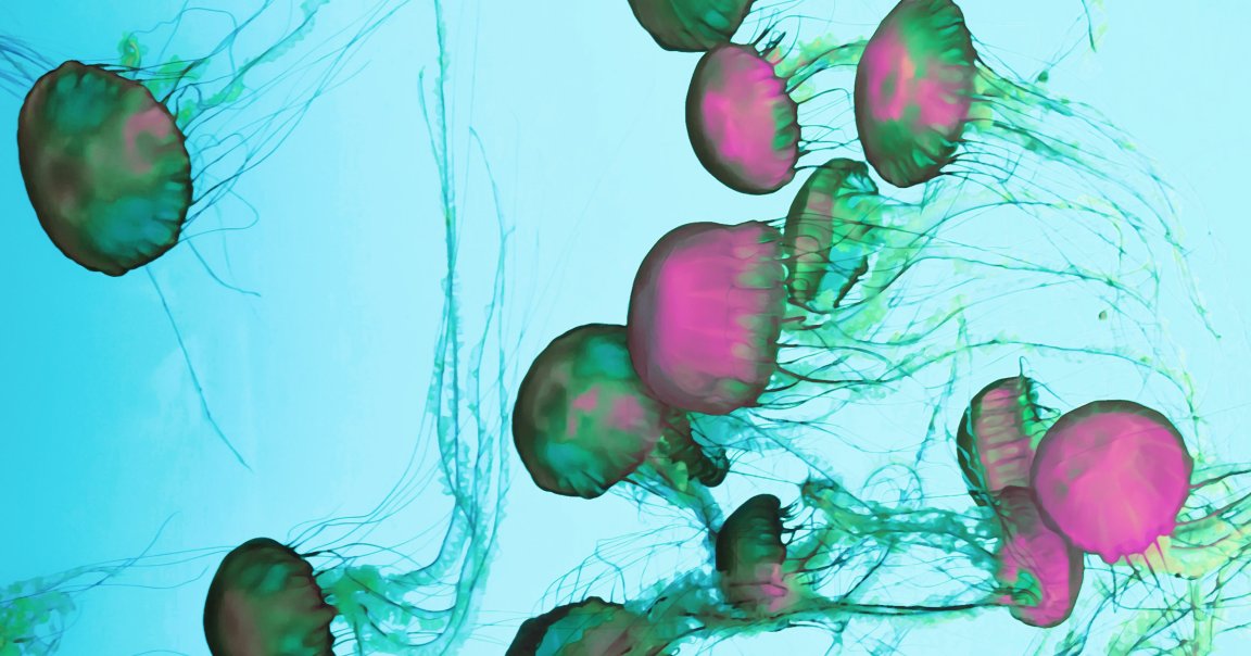 Over the weekend, a huge swarm of jellyfish forced the Gravelines Nuclear Power Station in France to take four of its six reactors offline.