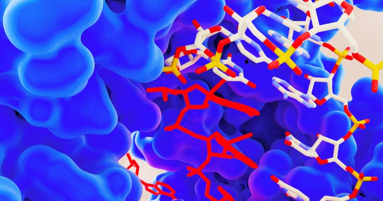 Scientists developed an anti viral therapy that mimics the infection fighting properties of a rare genetic mutation in people.