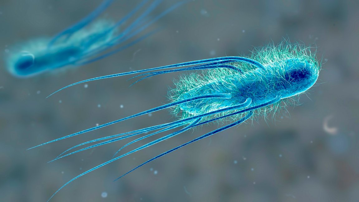A bombshell report revealed a bacteria whose genetic code is said to be more efficient than any other lifeform on earth.