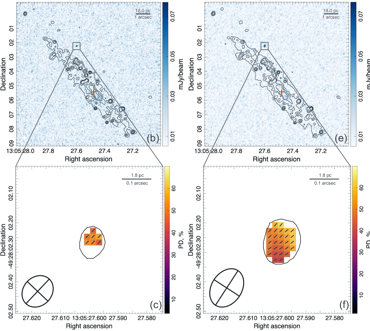 ALMA observational graphics of the galaxy NGC 4945 and the cosmic object Punctum. Left column graphics were taken on October 11, 2023, and right column graphics were taken two weeks later on October 25, 2023. Upper two graphics show polarized intensity with brightness contours, the galaxy's nucleus marked X, and Punctum in the small, square box. The bottom two panels show Punctum's relative brightness as compared to its surroundings. 