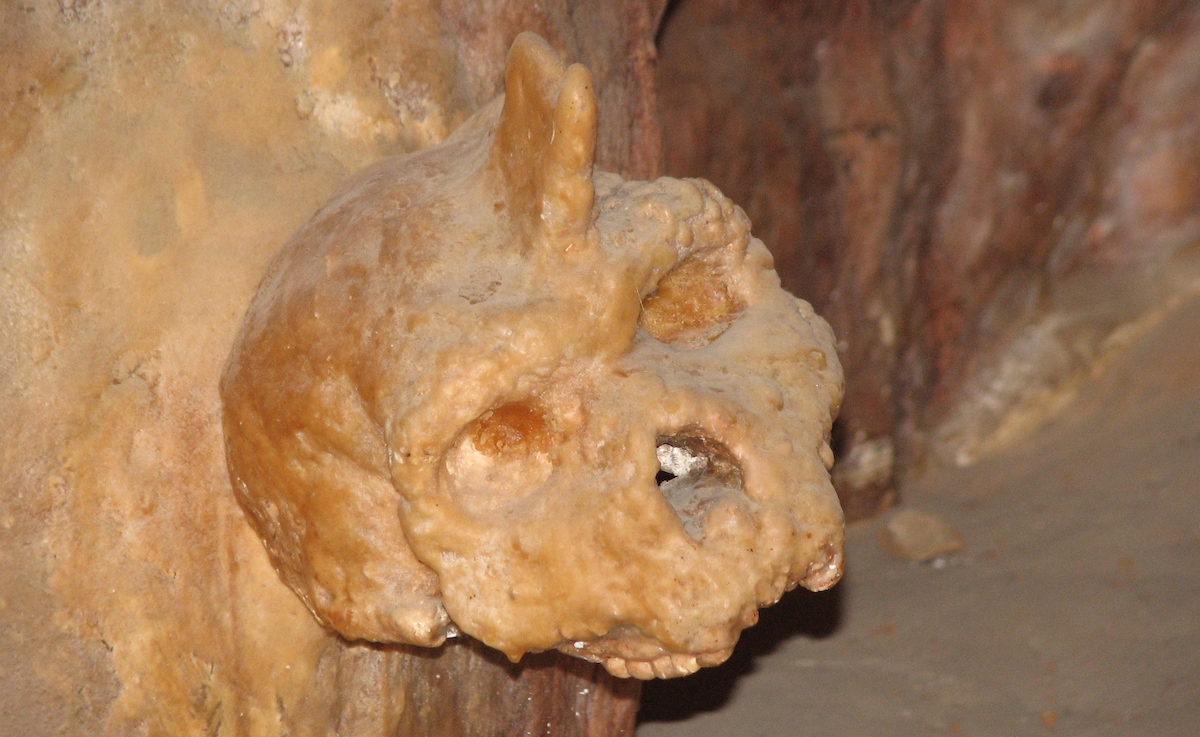 A partial skull, covered in brown-orange calcite with a partial stalgmite sticking out of its top, sits fused to a cave wall of a similar hue in the Petralona caves in Macedonia, Greece. Image via Nandina/Wikimedia Commons.