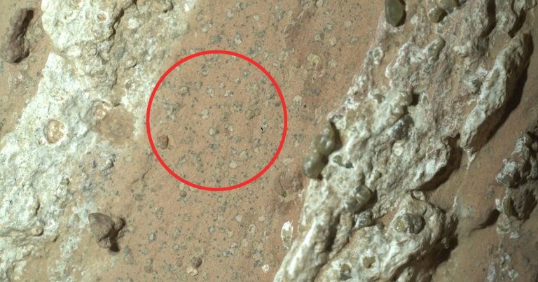 NASA has announced that its Perseverance Mars rover spotted "potential biosignatures" in an ancient dry riverbed last year.