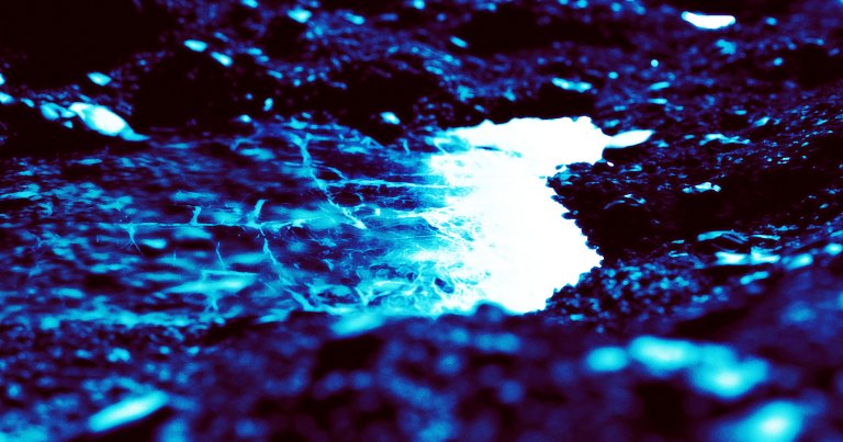 Flowing water suggests that water ice may have survived in the asteroid for longer than what was thought possible.