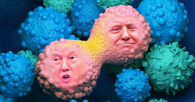 Trump has sharply cut funding to cancer research in the US, threatening the country's scientific standing and the health of Americans.