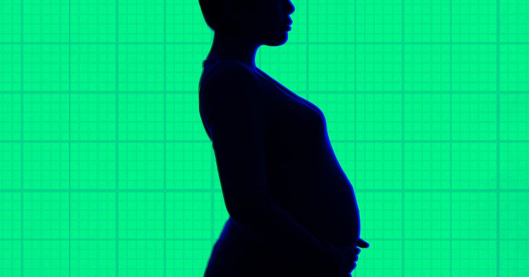 The harrowing years-long ordeal is a vivid example of the troubling power dynamics involved in commercial surrogacy.