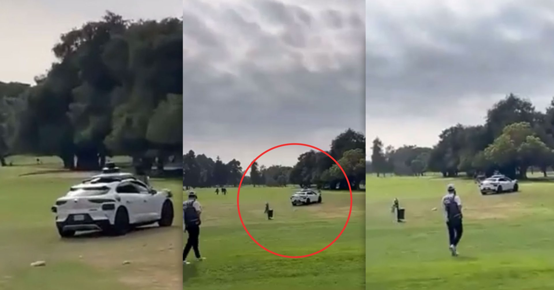 A video of one of Waymo's autonomous ride-hailing vehicles driving over the carefully groomed lawn of a golf course has gone viral.