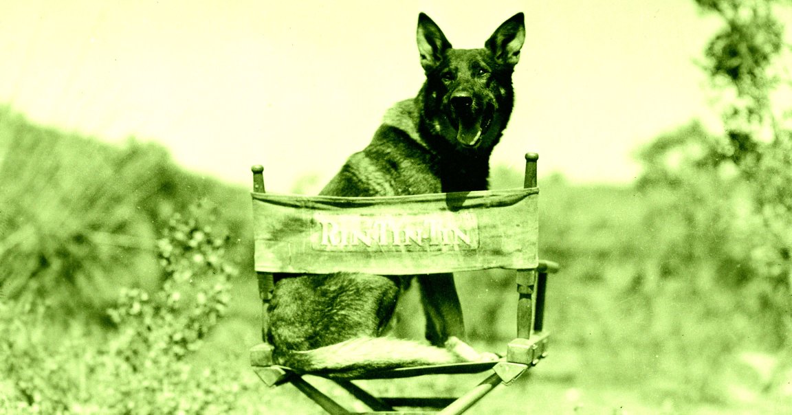 Artificial intelligence isn't just coming for human actors' jobs — even our furry companions are struggling to find work in Hollywood.