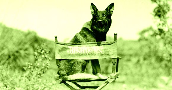 Artificial intelligence isn't just coming for human actors' jobs — even our furry companions are struggling to find work in Hollywood.