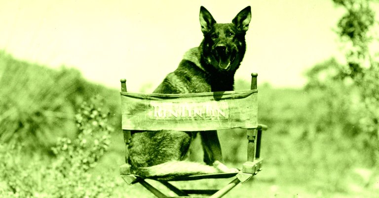 Artificial intelligence isn't just coming for human actors' jobs — even our furry companions are struggling to find work in Hollywood.