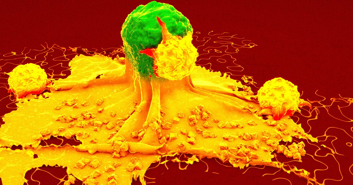 A new way of delivering vaccines using nanoparticles could prevent or slow down a number of different cancers in mice.