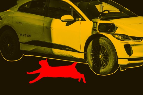 A beloved neighborhood cat in San Francisco allegedly lost its life in a hit-and-run accident after a driverless Waymo failed to stop.