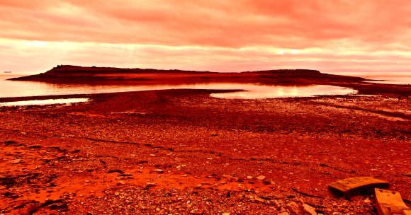 The owner of a restaurant in South Wales potentially saved the lives of two swimmers, who ventured out after asking ChatGPT for tide times.