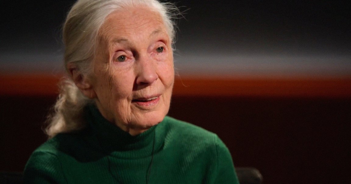 British conservationist and primatologist Jane Goodall called for billionaire and SpaceX CEO Elon Musk to be blasted into space.
