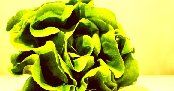 economist and author David McWilliams told Fortune that AI hardware investments are "digital lettuce" that are going to go "off."