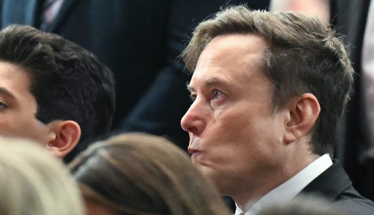 Elon Musk had his personality effortlessly deconstructed by an 87-year-old novelist, and didn't take it well.