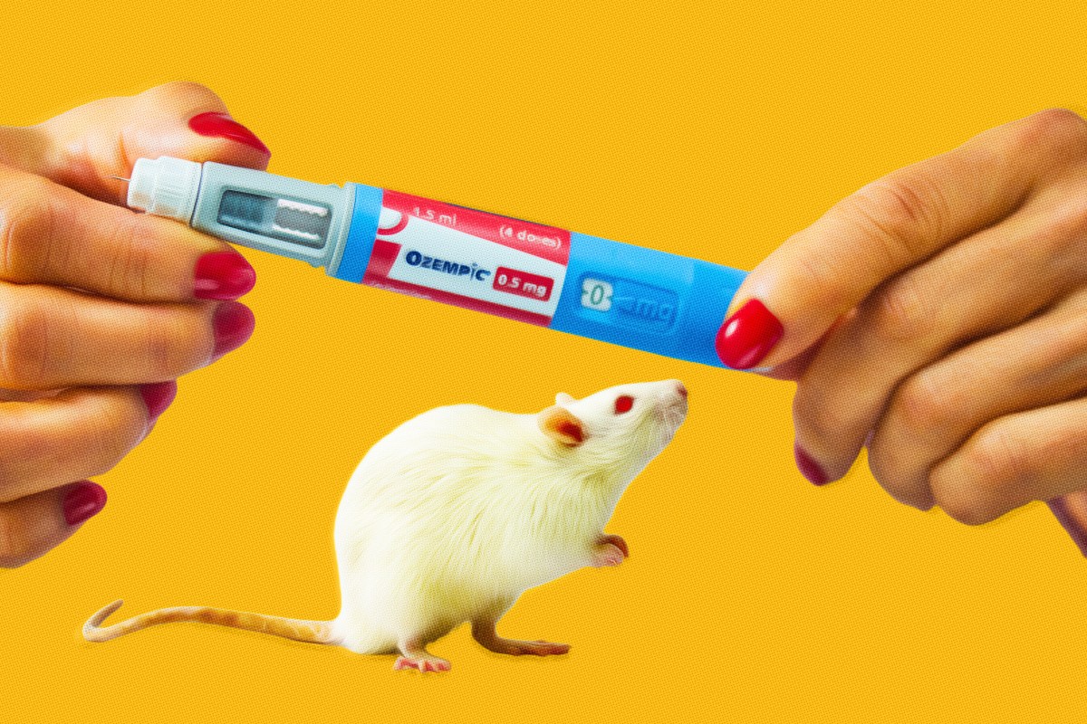 Low Doses of Ozempic-Like Drug Can Counteract Aging in Older Mice, Study Finds