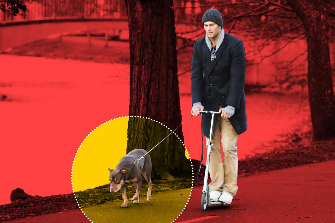 Longtime NFL quarterback Tom Brady just admitted something interesting: his dog is a clone of a previous pet.