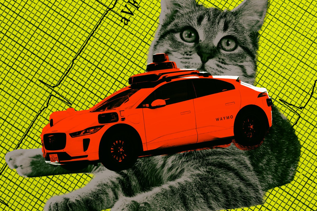 Painted Waymo Waymo Haunted by Killing of Beloved Neighborhood Cat