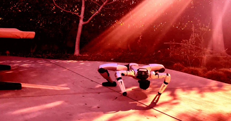 A recent video shows how a humanoid robot can turn itself into a surprisingly creepy crawling machine, using the full extent of its limbs.