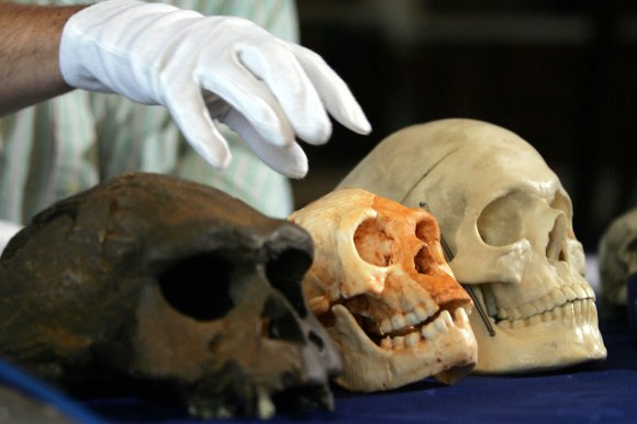 Short ancient humans in Indonesia called Homo floresiensis disappeared possibly due to severe drought that gripped their island habitat.