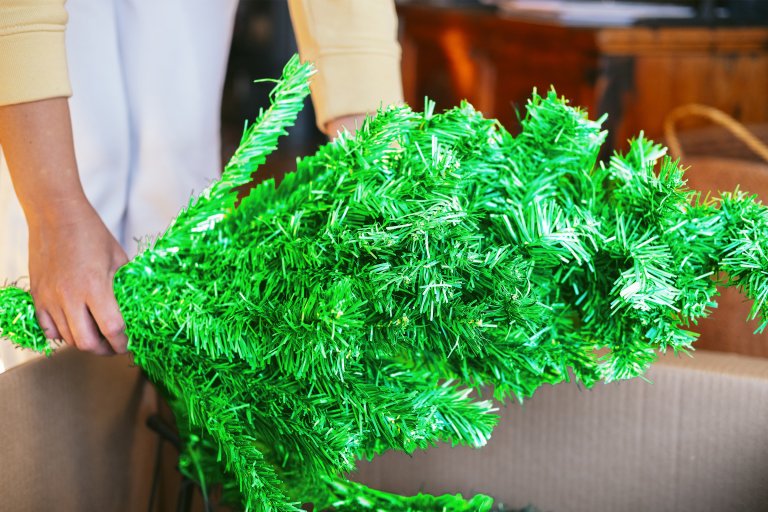 A Fox Business host railed against a humble little tree farm that's standing in the way of more AI data center construction.