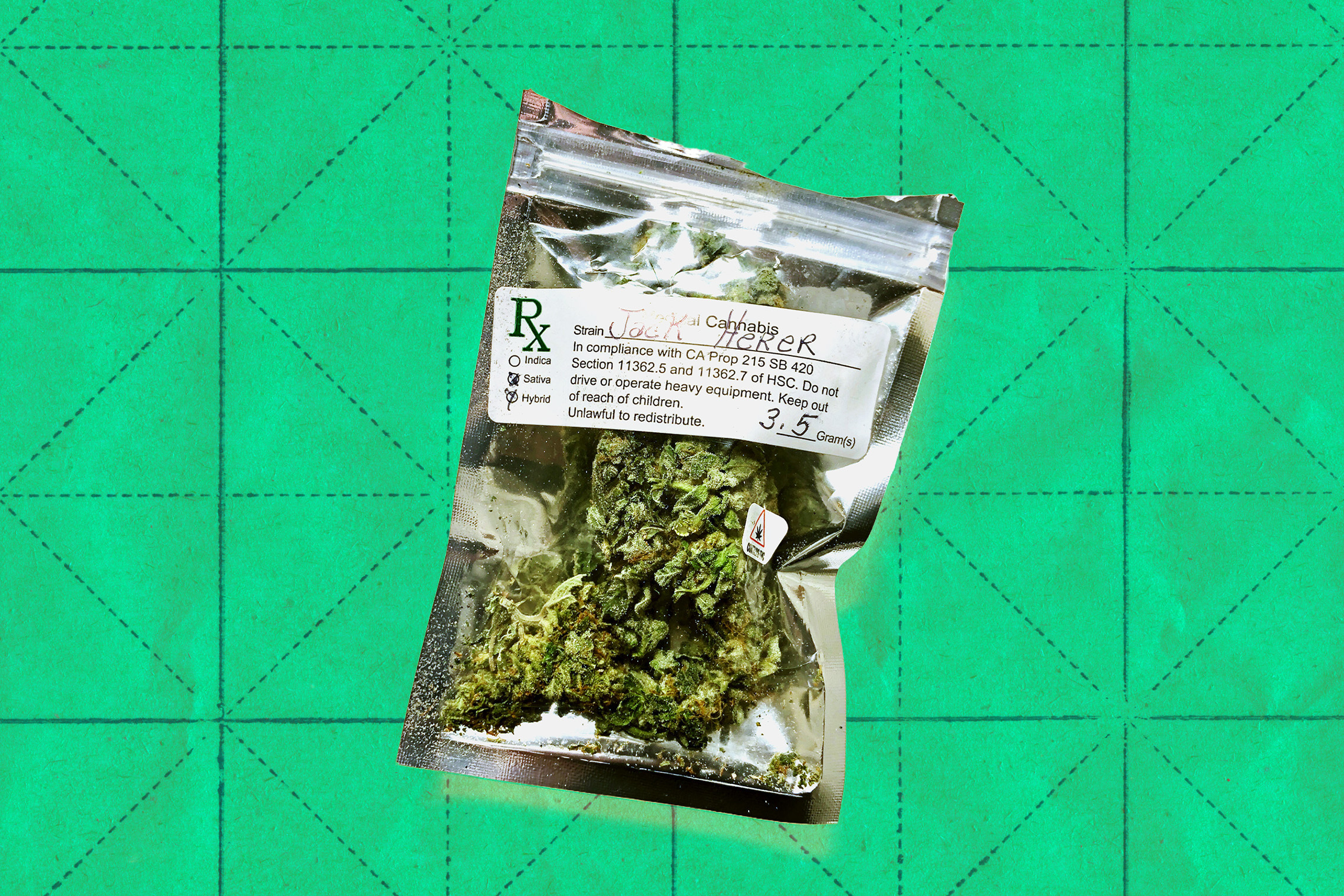 futurism.com - Sharon Adarlo - Huge Study Finds Very Worrying Results for Medical Marijuana Patients