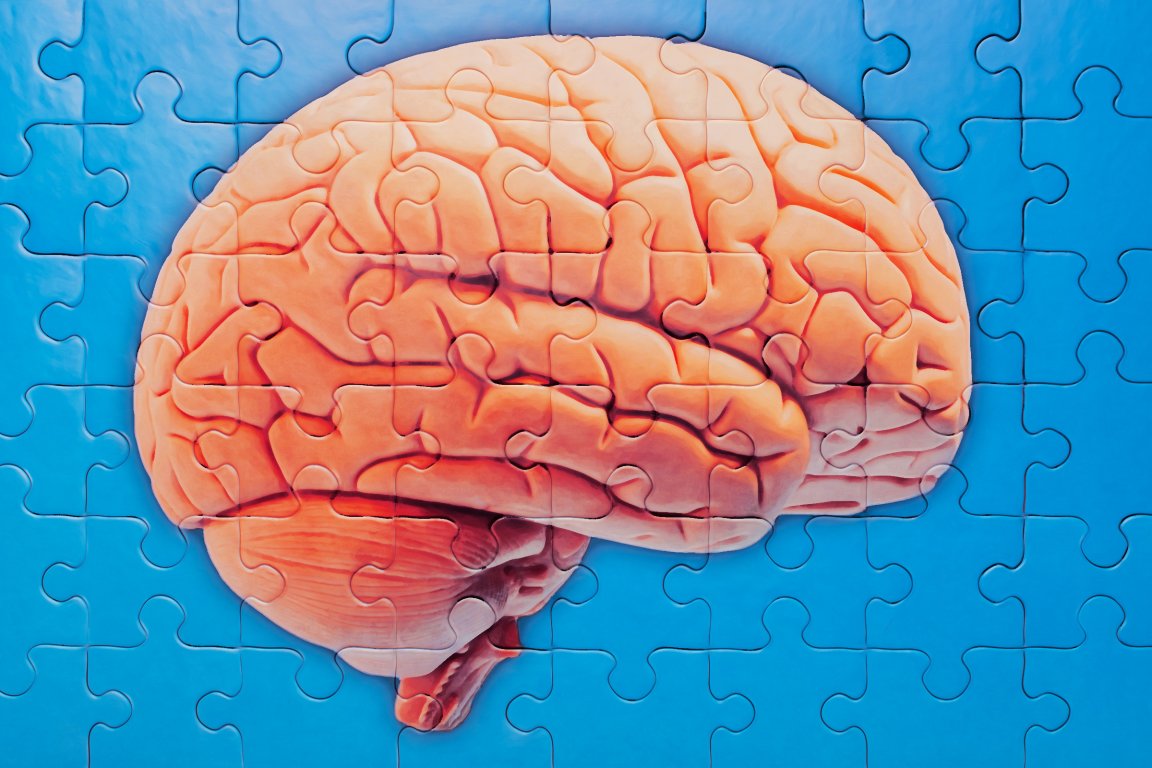 Scientists said a novel compound can arrest early stages of Alzheimer's disease in mice brains, setting the stage for a possible cure.