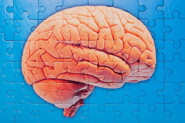 Scientists said a novel compound can arrest early stages of Alzheimer's disease in mice brains, setting the stage for a possible cure.