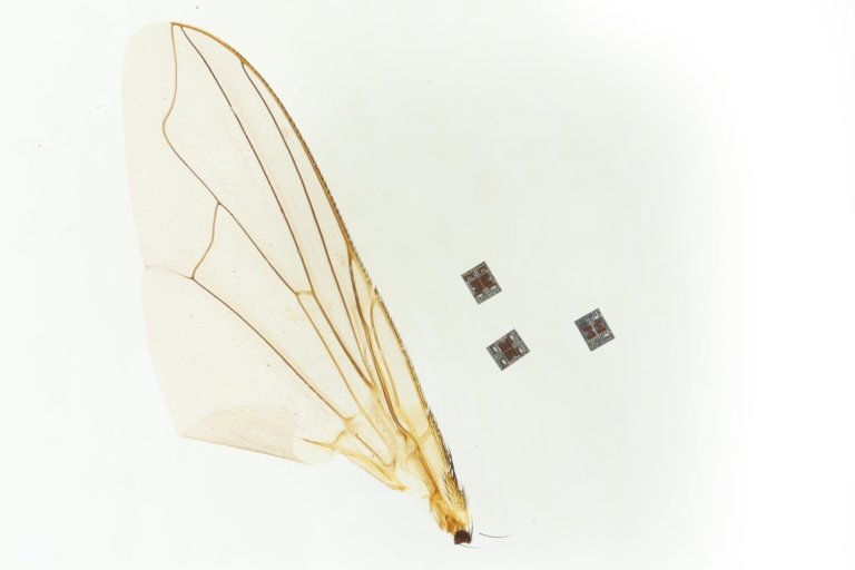 The tiny, microscopic robot packs an onboard computer, solar cells, and propulsion system, and is capable of sensing its environment.