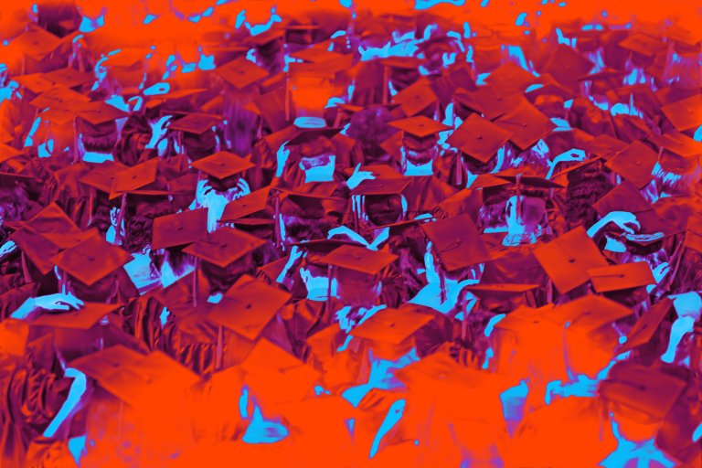 New anecdotes suggest software engineering students at elite universities are struggling to find jobs, though explanations vary.