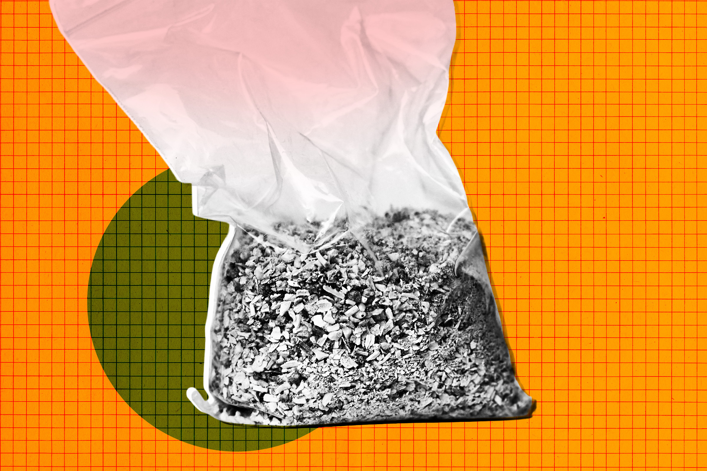 futurism.com - Joe Wilkins - You Will Never Guess What This Startup Is Turning Human Remains Into