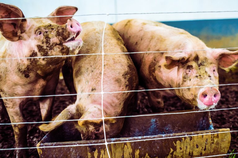 The Washington Post said it will continue deploying its error riddled, AI-generated podcasts, because "this is how products get built."