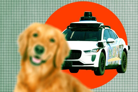 On Sunday night, a Waymo robotaxi ran over a dog in San Francisco, drawing a crowd and leaving the children in the car sobbing.