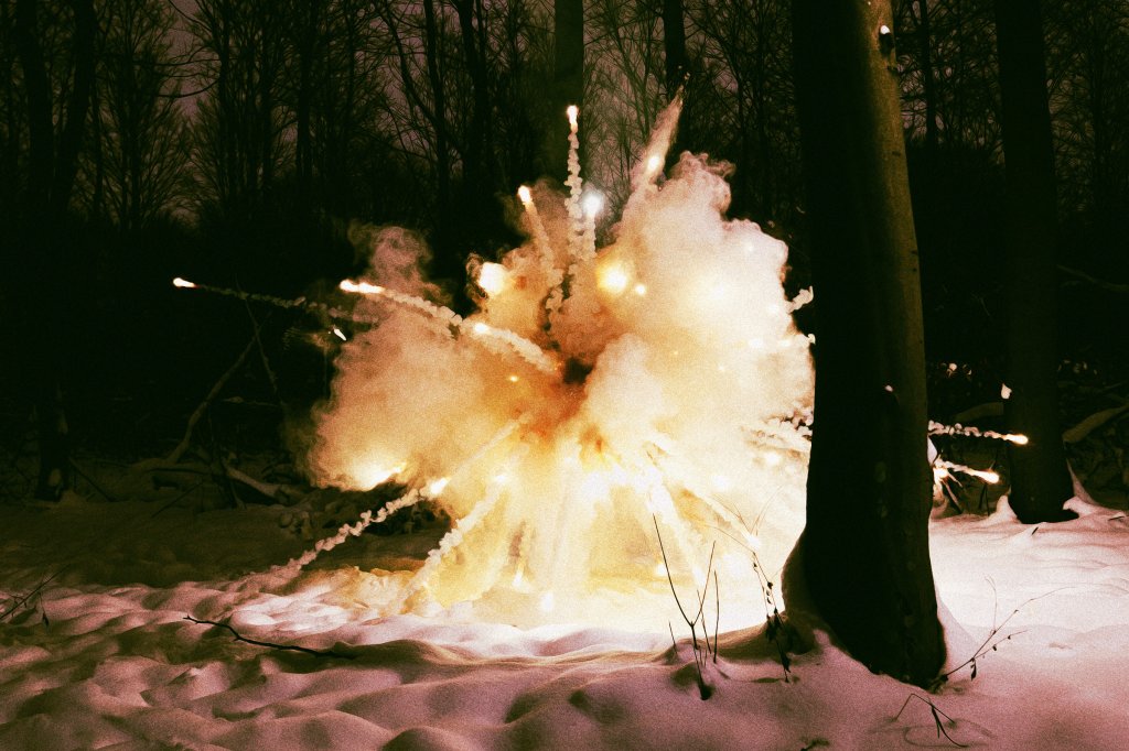 Exploding Tree Ristk Meteorologist Warns That Winter Storm Means Trees Are About to Start ...