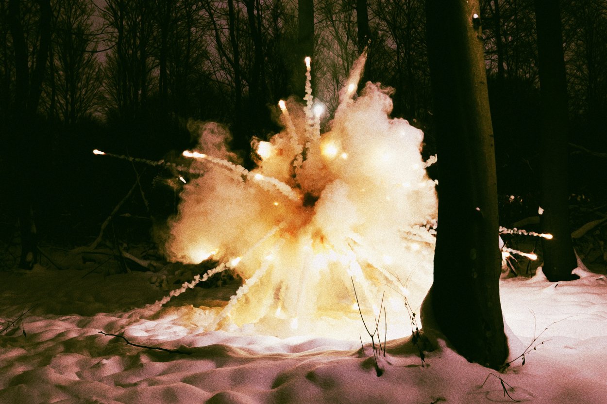 Exploding Tree Watch Meteorologist Warns That Winter Storm Means Trees Are About to Start ...
