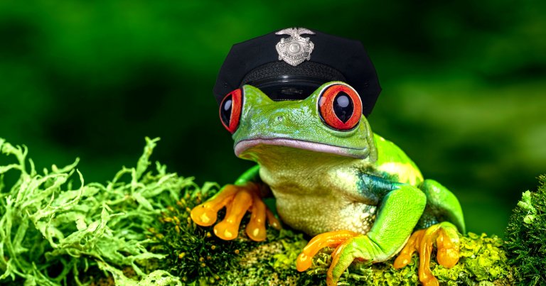 AI-powered software Draft One automatically generates police reports from body camera footage. It thought an officer turned into a frog.