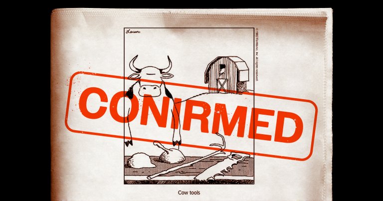 Scientists say they've observed the first ever verified case of a cow using tools, vindicating a decades-old comic strip.