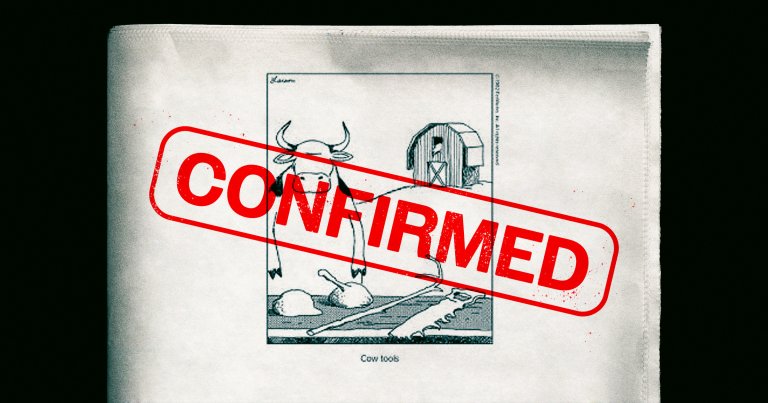 Scientists say they've observed the first ever verified case of a cow using tools, vindicating a decades-old comic strip.