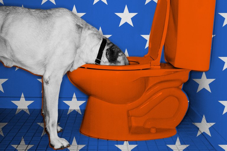 A dog with a black collar has its head inside an orange toilet bowl. The background features blue walls and floor tiles decorated with large white stars. The dog is mostly grayscale, contrasting with the brightly colored toilet and background.