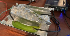 A forum mod ran high-quality audio through a banana, old microphone cable soldered to pennies, and wet mud. Nobody could tell the difference.