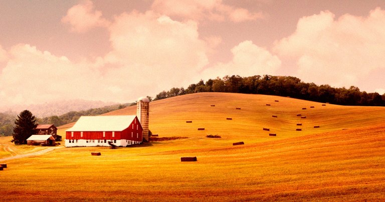 A Pennsylvania farmer turned down a more than $15 million offer from data center developers to save his family legacy.