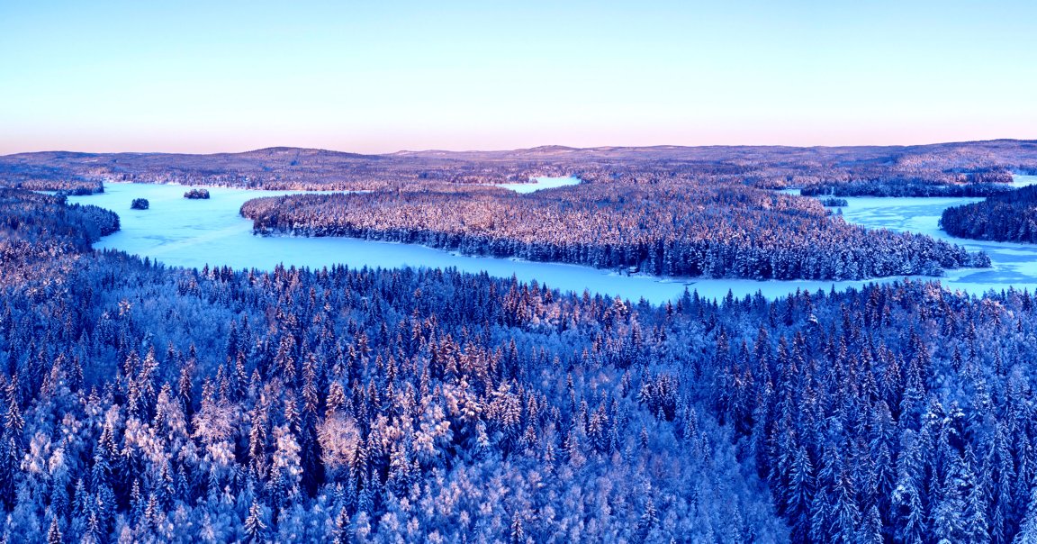 Scientists have found that boreal forests, the largest terrestrial biome on Earth, are steadily shifting northwards.