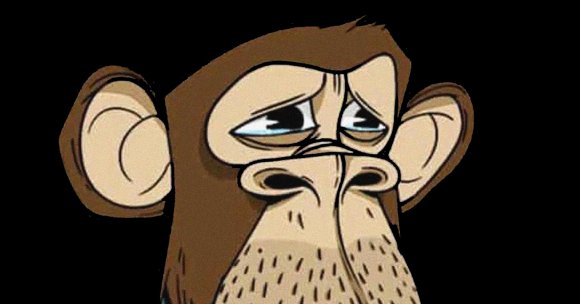 In 2022, pop sensation Justin Bieber shelled out a hefty $1.3 million for a Bored Ape. It lost over 99 percent of its value since then.