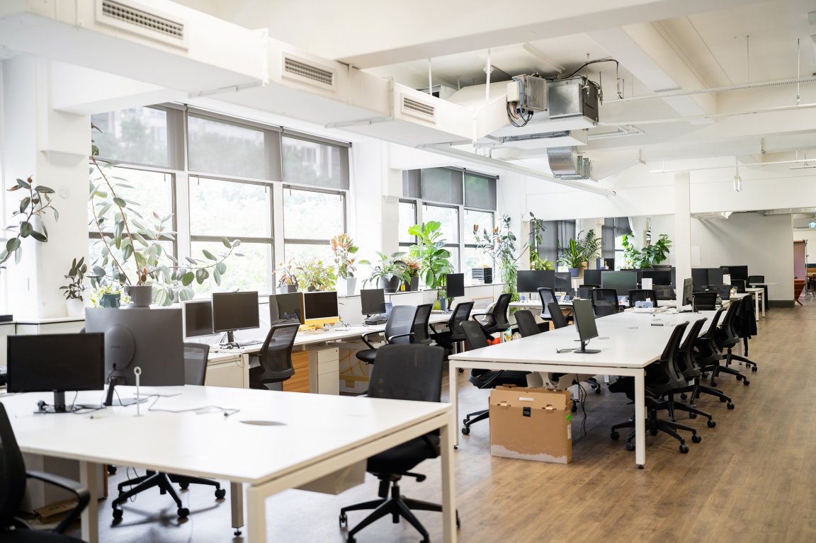 An empty office space with rows of white desks and black office chairs. Multiple computer monitors are placed on the desks, and large windows along one wall let in natural light. Numerous green plants are arranged on the windowsills, adding a touch of nature to the workspace. The floor is wooden, and the ceiling features exposed ductwork and lighting fixtures. A cardboard box is visible under one of the desks.