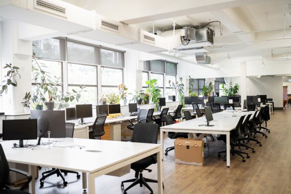 An empty office space with rows of white desks and black office chairs. Multiple computer monitors are placed on the desks, and large windows along one wall let in natural light. Numerous green plants are arranged on the windowsills, adding a touch of nature to the workspace. The floor is wooden, and the ceiling features exposed ductwork and lighting fixtures. A cardboard box is visible under one of the desks.