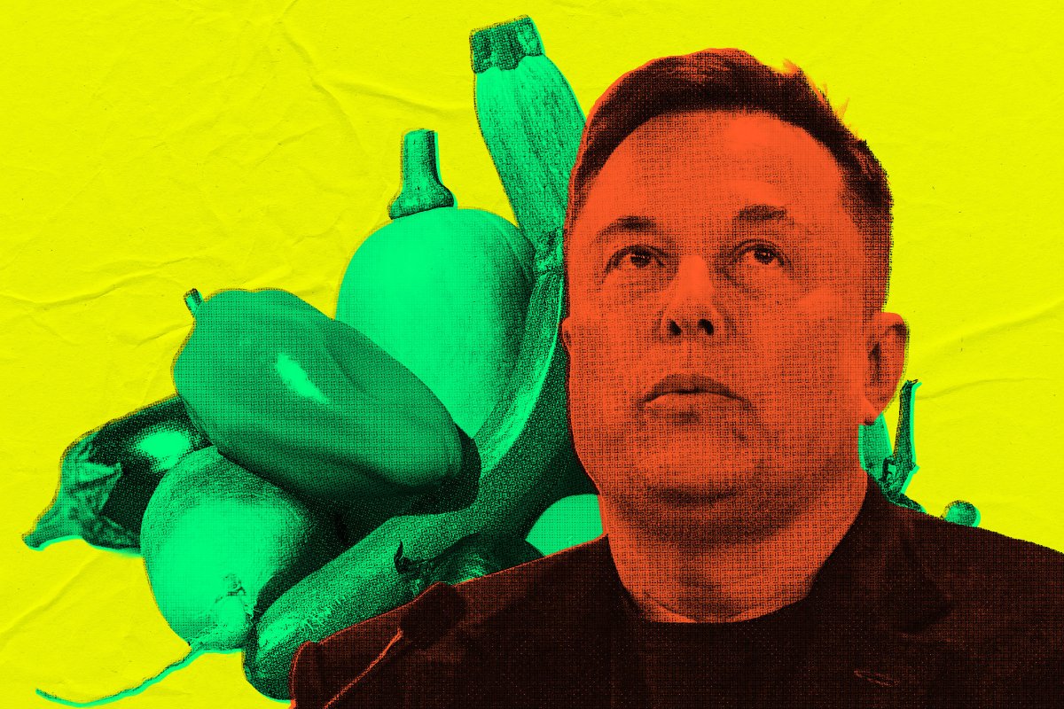 US Government Deploys Elon Musk’s Grok as Nutrition Bot, Where It Immediately Gives Advice for Rectal Use of Vegetables