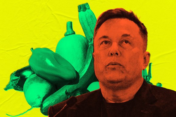 A stylized, pop-art style image featuring Elon Musk with a serious expression, colored in red tones, set against a bright yellow background. Behind him is a cluster of various vegetables, including a bell pepper, zucchini, and onion, all rendered in green tones. The image has a textured, halftone effect.