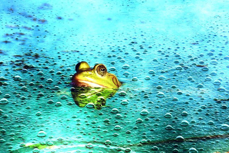 A green frog partially submerged in water, surrounded by numerous water droplets on the surface. The water has a vibrant blue and green tint, creating a striking contrast with the frog's yellow-green skin. The frog's eyes are prominent and detailed.
