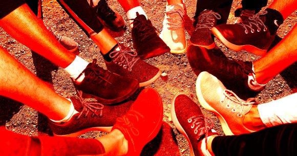 The mad scrabble to get in on the latest AI startup — struggling shoe company Allbirds — has since come to a "screeching halt."