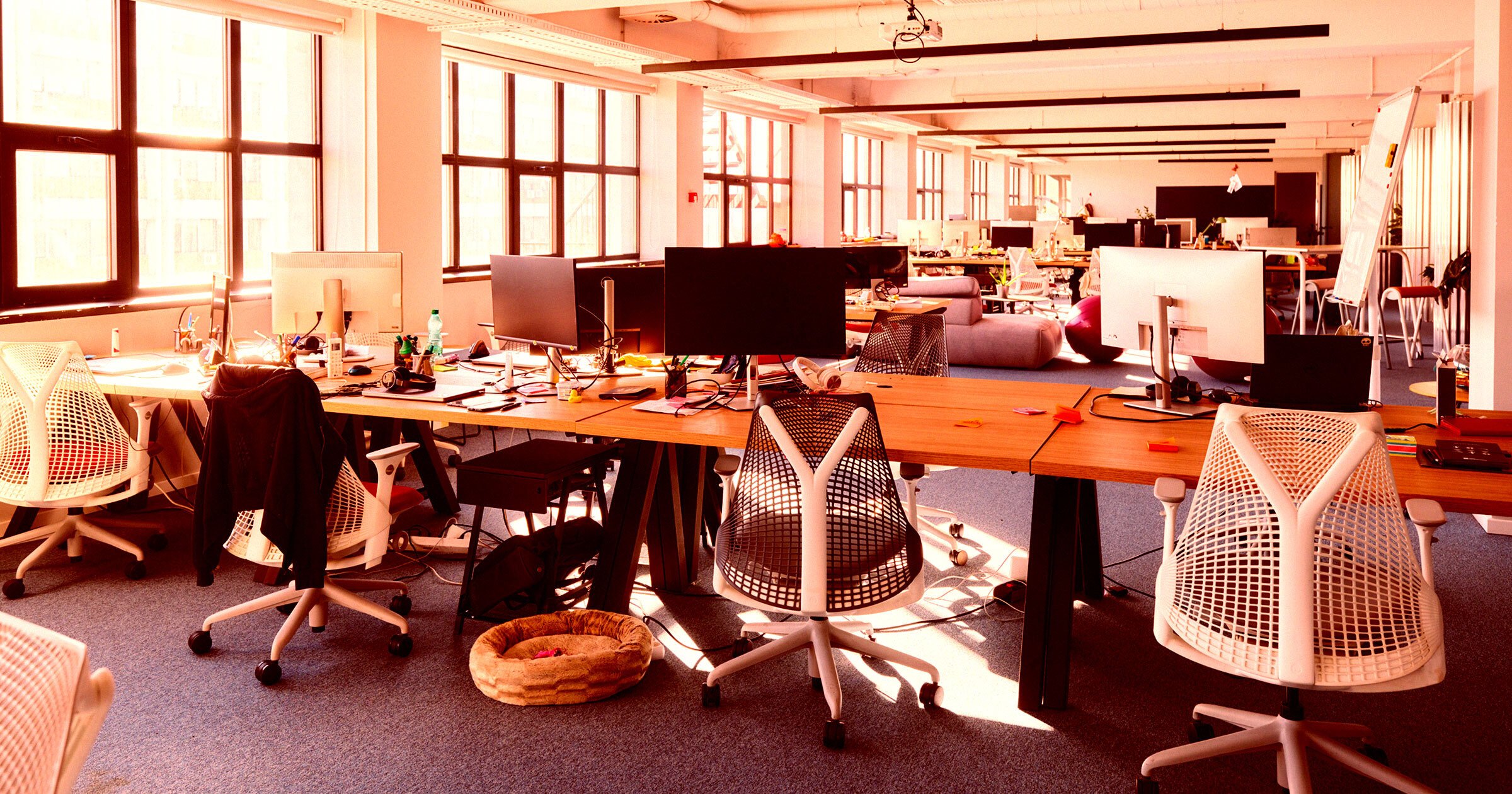 futurism.com - Joe Wilkins - There's Something Bizarre About the Offices of AI Startups